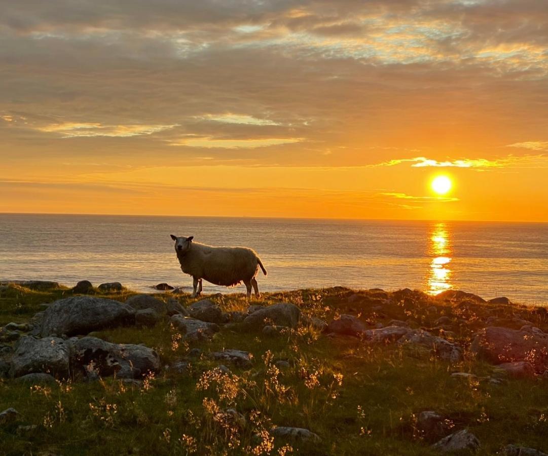 Perfekt Base For Det Meste! Leknes Dış mekan fotoğraf